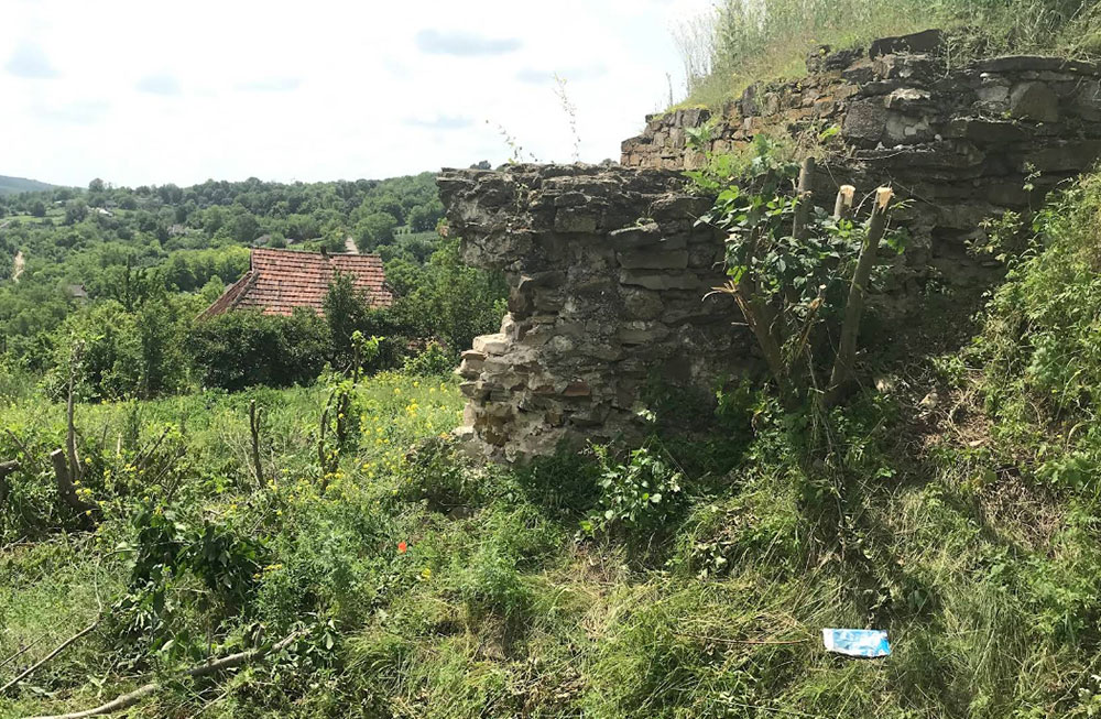 Озаринецький замок