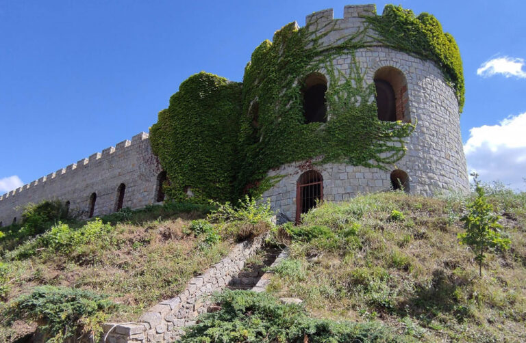 Черленківський замок у селі Селище