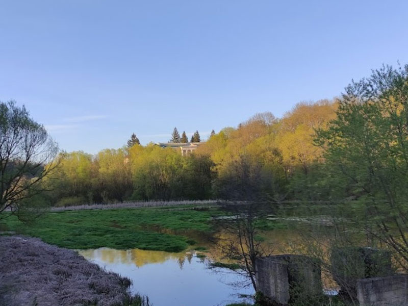 Палац Комарів, смт Муровані Курилівці