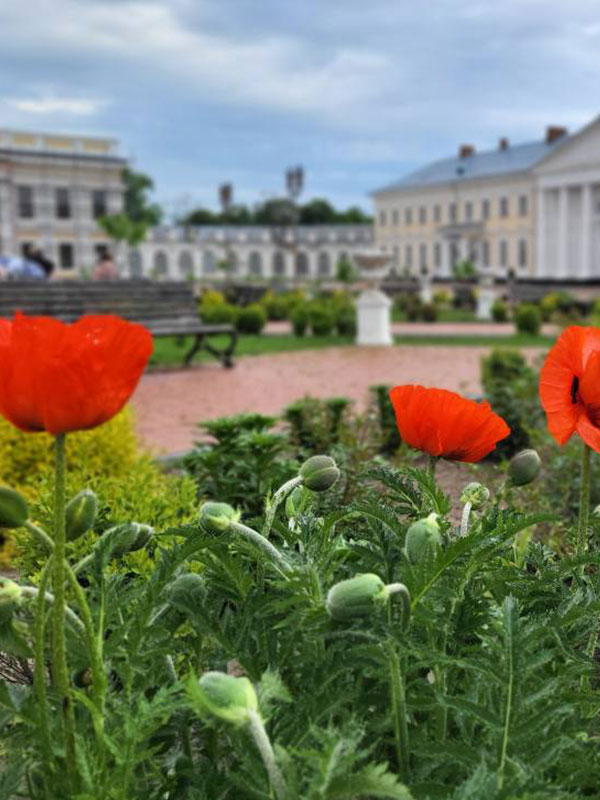 Палац Потоцьких, місто Тульчин