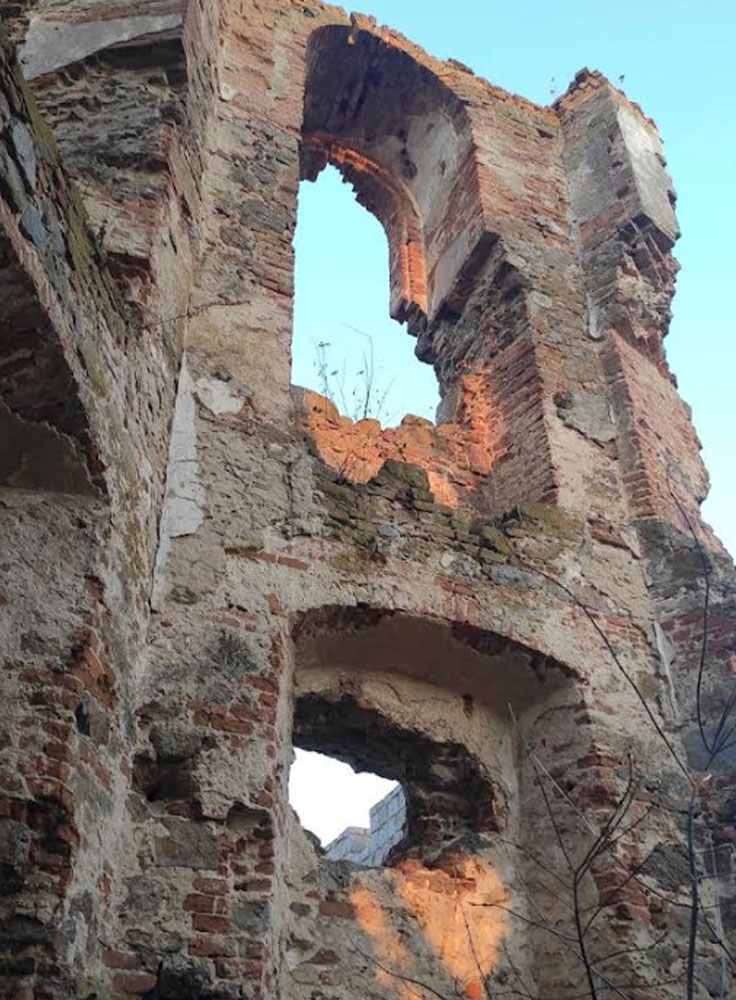 Cherlenkivskyi Castle, Selyshche