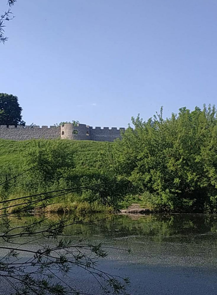 Cherlenkivskyi Castle, Selyshche