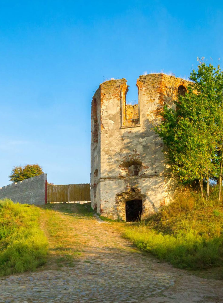 Cherlenkivskyi Castle, Selyshche