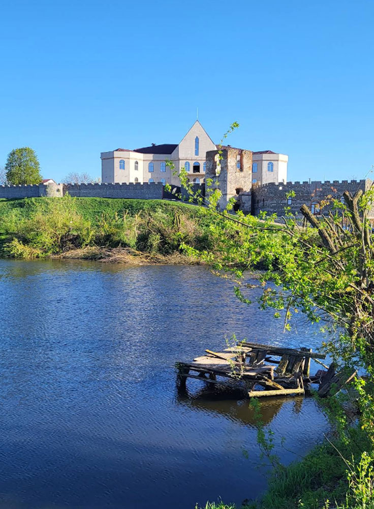 Cherlenkivskyi Castle, Selyshche