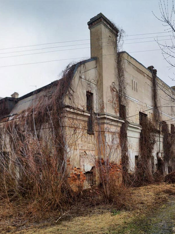 Палац Собанських (Ободівка)