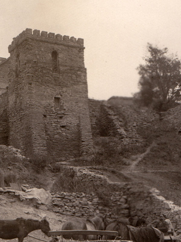 Шаргородський замок