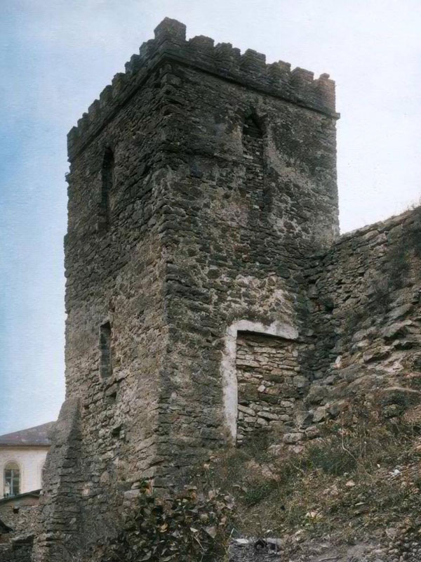 Шаргородський замок